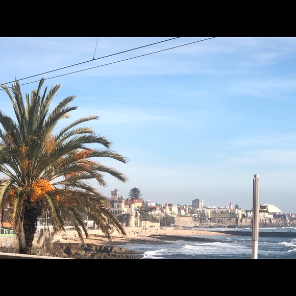 Meet your Posher, Liza - Picture 5 of 7